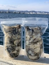 生食可能❗️湧別サロマ湖産❗️2年牡蠣✨剥き身✨500gパック