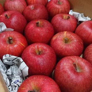 【訳あり小玉サンふじ】ご家庭用3kgサイズ箱　リンゴと言えばやっぱりこれ！