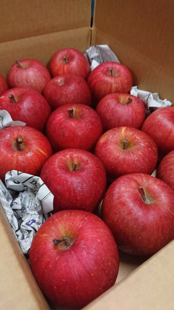 【訳あり小玉サンふじ】ご家庭用３ｋｇ　スマートフレッシュでおいしさそのまま！