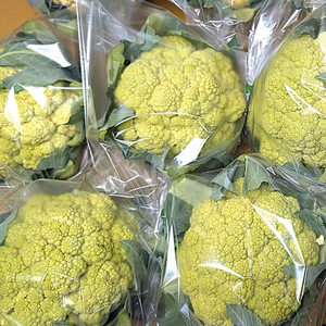 グリーンカリフラワー 農薬不使用（無農薬）栽培　