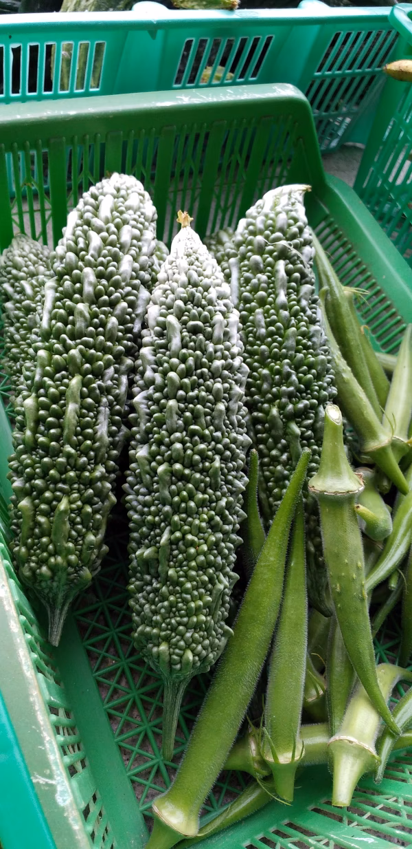 『送料無料』野菜ソムリエの栽培したアラカルト小包便