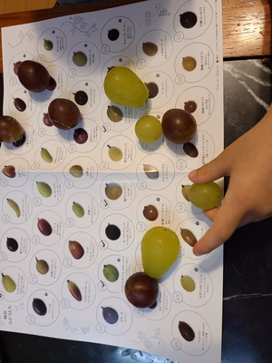 みんなの投稿の画像