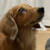 いーちゃん