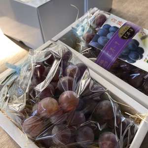 贈答品用ぶどう2～3房（600～700g）農薬不使用、有機JAS認証の山口県産（