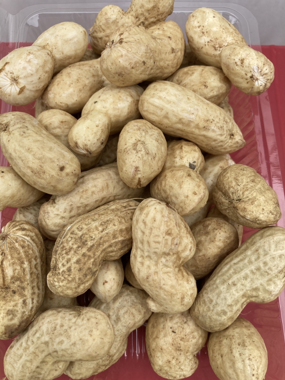 おおまさり 生の落花生 茹で落花生 農薬 化学肥料なし 農家漁師から産地直送の通販 ポケットマルシェ