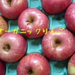 オーガニックりんご（Organic Apple）サンふじ
