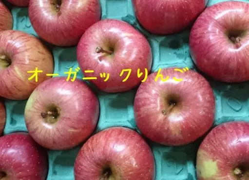 オーガニックりんご　サンふじ3キロ（有機JAS認証）
