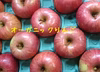 オーガニックりんご（Organic Apple）サンふじ