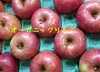 オーガニックりんご　サンふじ5キロ（有機JAS認証）