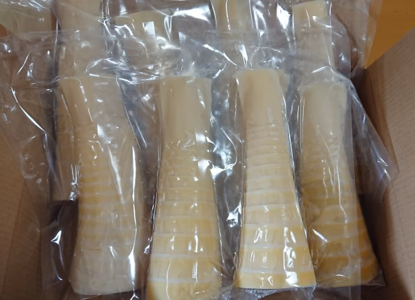 大釜湯がき筍（穂先たけのこ）