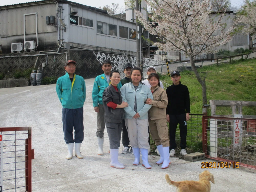 金猪豚食べ比べセｘット（バラしゃぶ用、モモスライス、切落し、ミンチ）