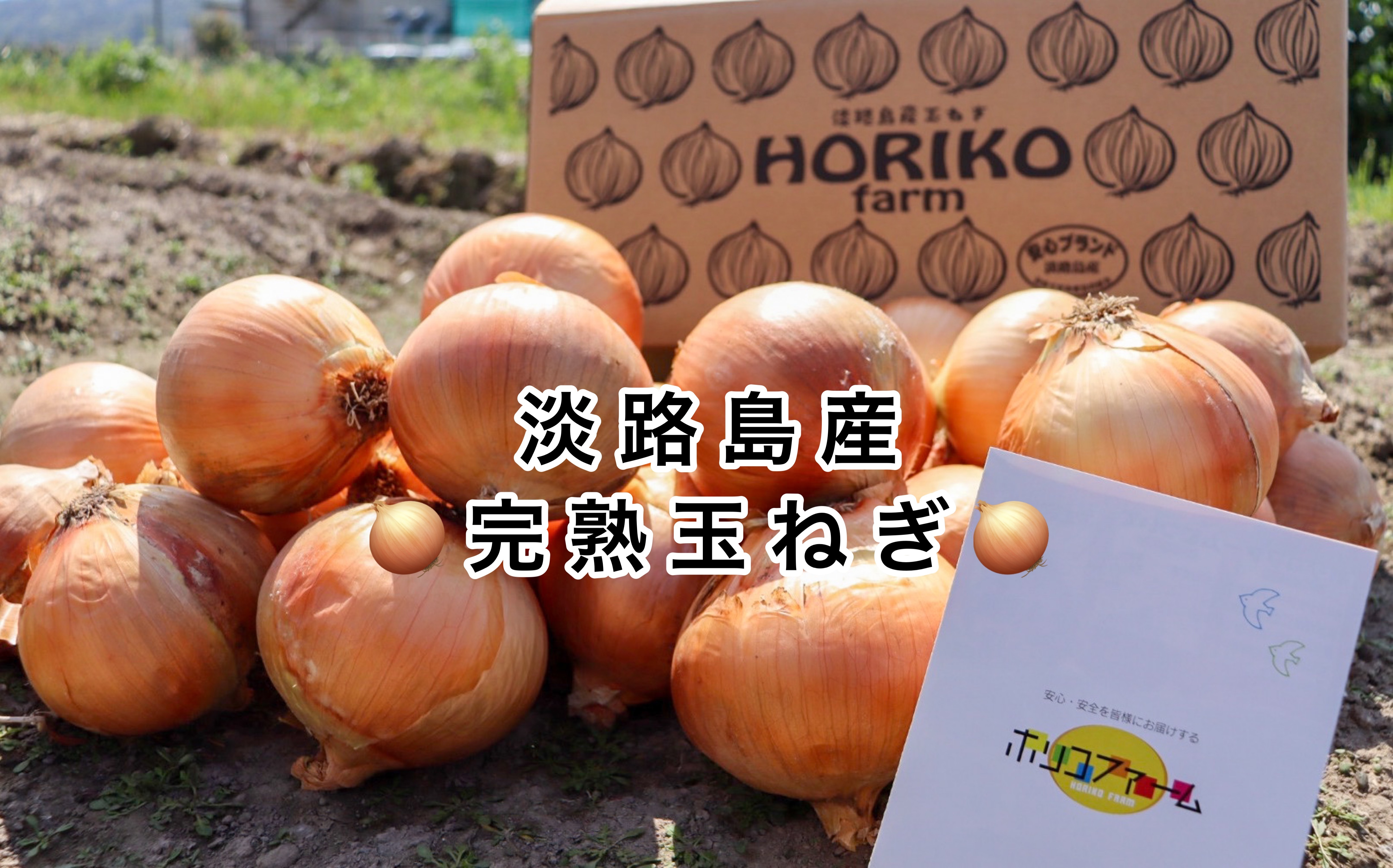 淡路島玉ねぎ10kg 子供達も大好き あま い玉ちゃん 農家漁師から産地直送の通販 ポケットマルシェ