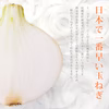 冬のごちそう！野菜ソムリエサミット銀賞【新玉ねぎ】7kg
