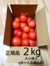 ツゲさんちのうまかトマト     2kg 　登場　うまかよっ