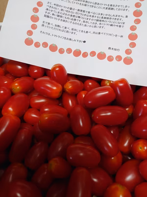 みんなの投稿の画像