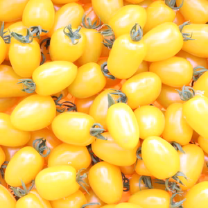 食卓を彩るトマト。あま～いイエロースピカ