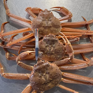 話題のオオズワイガニ　800〜1キロサイズ３尾