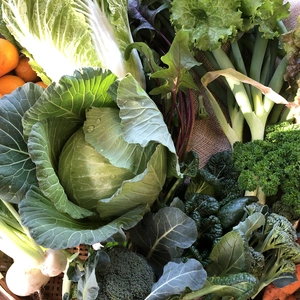 月２回　喜助農園の野菜　Mサイズ　農薬、化学肥料不使用