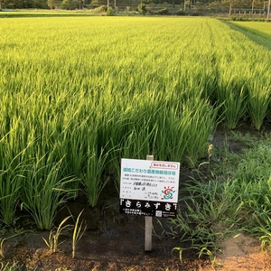 R7きらみずき白米・⑥環境こだわり米