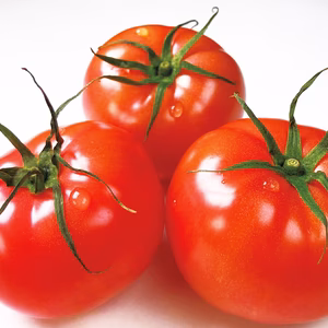 【祝400注文記念✨数量限定大特価❣】王様トマトシリーズ大玉❣