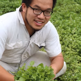 渥美寿彦 | 株式会社新菜園