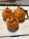 【農薬未使用】不知火しらぬい1キロ&ネーブルオレンジ1キロ