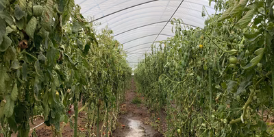 【令和2年7月豪雨被害の支援について】今私たちができることを