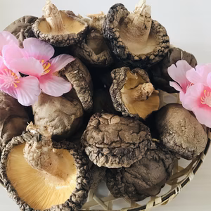 天然原木栽培　 香菇香信ミックス干し椎茸80g 1袋