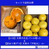 【セットdeお得C】[小玉]天草の文旦-小-＆[訳あり得デコ]天草の不知火-小-