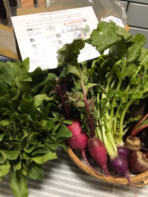 みんなの投稿の画像