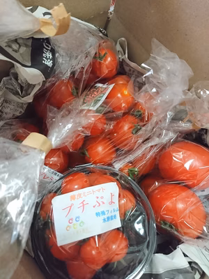 みんなの投稿の画像