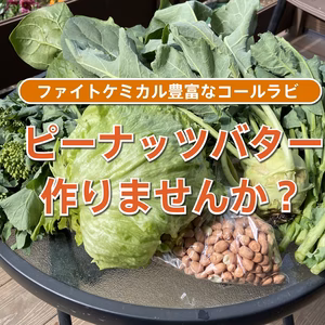 殻なしピーナッツ（未焙煎）と季節の野菜セット