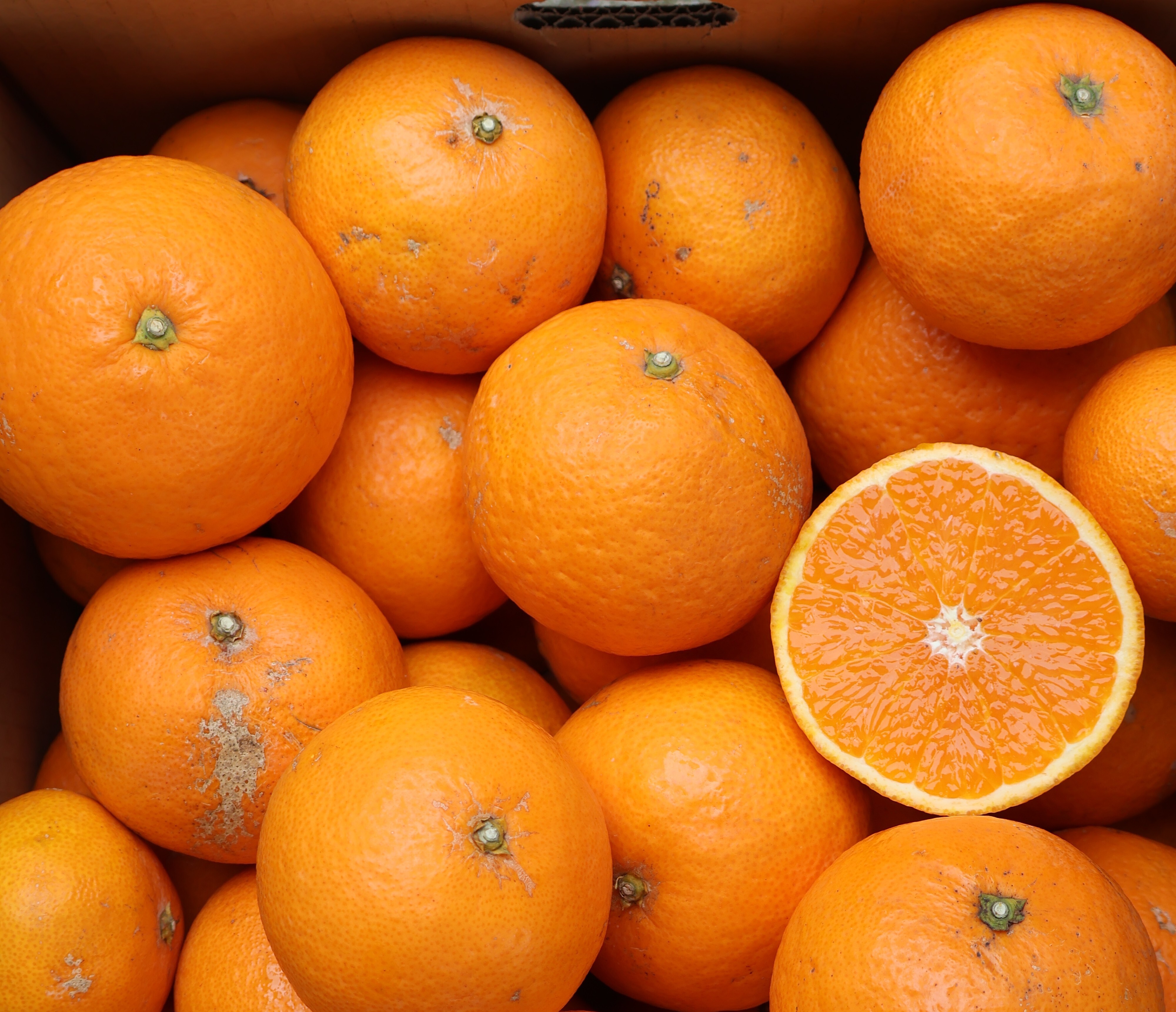 農家直送!きよみオレンジ 無選別3Kg〜≪秀品・訳あり品・サイズ混合≫平武農園 一箱(3Kg)