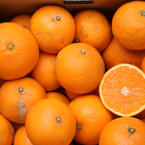 農家直送！きよみオレンジ　無選別３Kg～≪秀品・訳あり品・サイズ混合≫平武農園