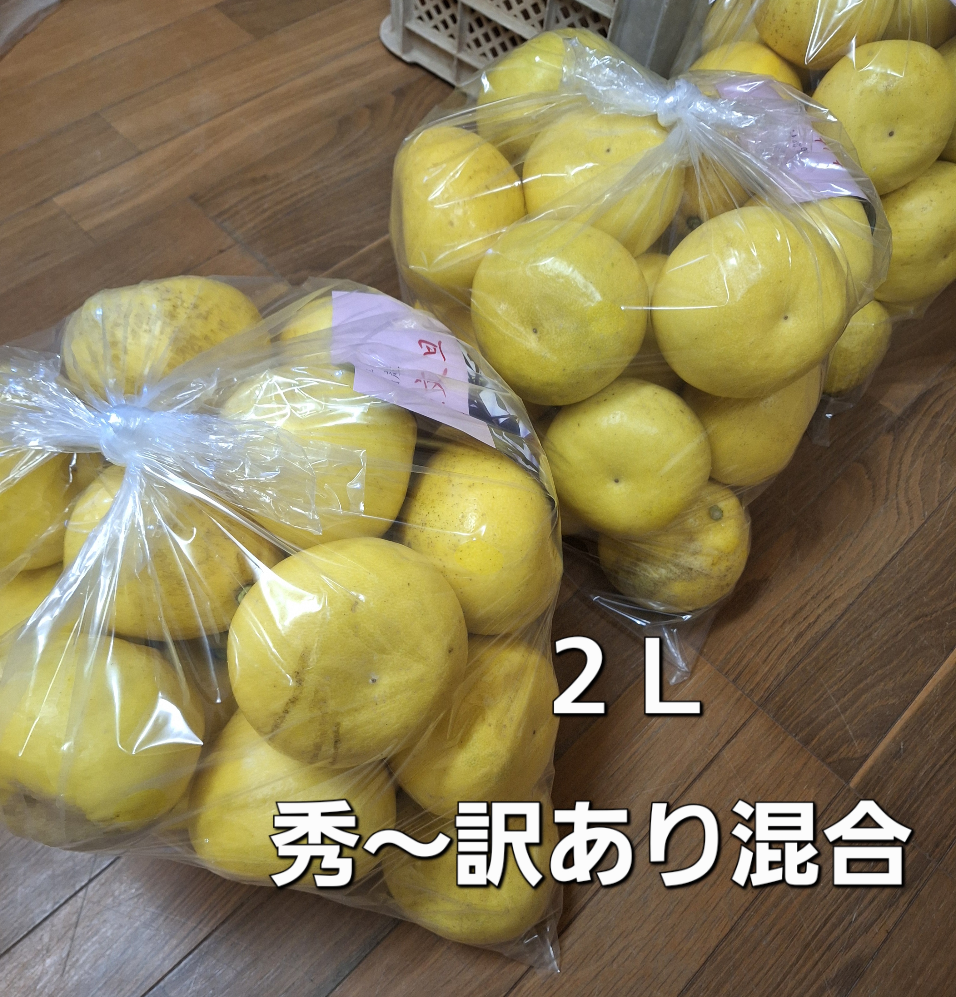 訳あり混合2L 土佐文旦10キロ入1箱(保存袋付き)｜文旦の商品詳細