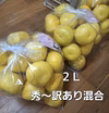 ※訳あり混合２Ｌ　土佐文旦10キロ入１箱(保存袋付き)