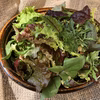 ごちそうサラダ野菜〜無農薬、化学肥料なし〜