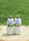 【ギフト対応可】みるくの黄金律牛乳&ジャージーヨーグルト２種食べ比べセット