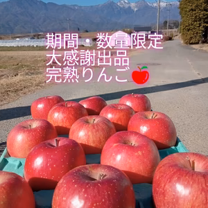 大感謝出品 大自然が育むサンふじ『家庭用』