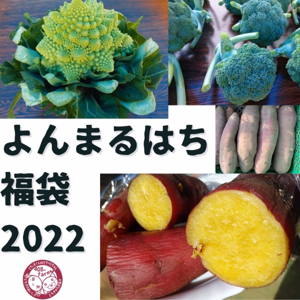 【福袋2022】よんまるはち福袋　さつまいも　ブロッコリー　ロマネスコ　