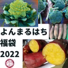 【福袋2022】よんまるはち福袋　さつまいも　ブロッコリー　ロマネスコ　
