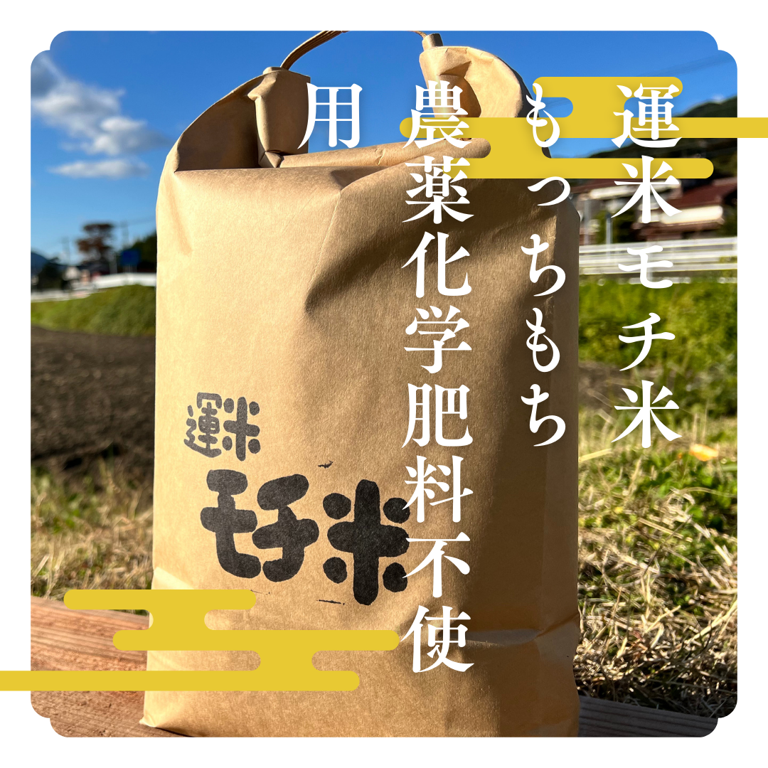 【農薬・化学肥料・除草剤不使用】もち米　ハリマモチ　5キロ 玄米）（送料込み）もち米5キロ農薬不使用2025年産｜餅・もち米の商品