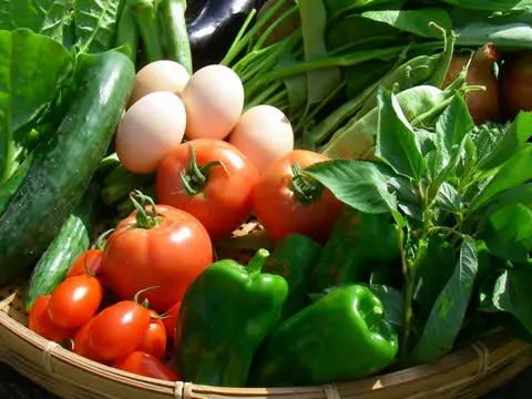 タマゴソムリエの放し飼い自然卵１０個と旬の無農薬野菜(５種)セット