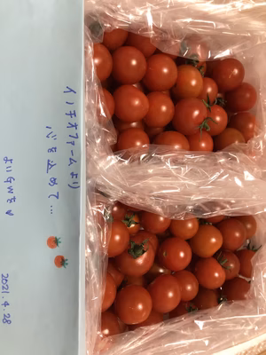 みんなの投稿の画像