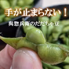 ＜ふるさと納税対応＞手が止まらない冷凍だだちゃ豆