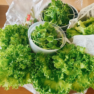 みんなの投稿の画像