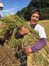 【ポスト投函800g】信州産 もち米【もちひかり】白米 農薬削減栽培 令和5年産