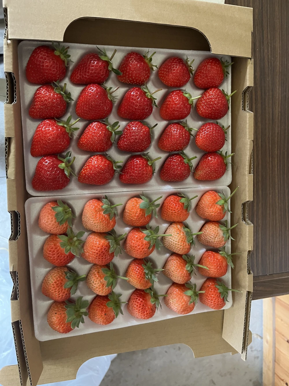 北海道産完熟夏イチゴ1箱20玉×2トレー