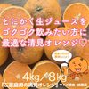 ジュースに最適！ご家庭用の清見オレンジ【減農薬】