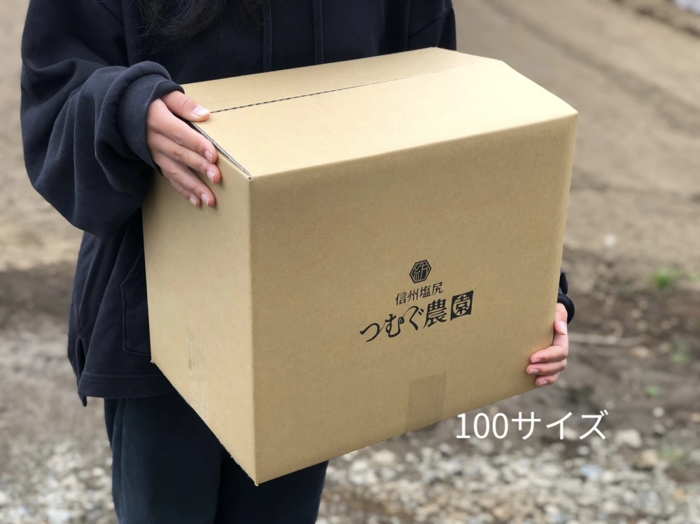 [信州産]元気いっぱい！旬野菜の玉手箱